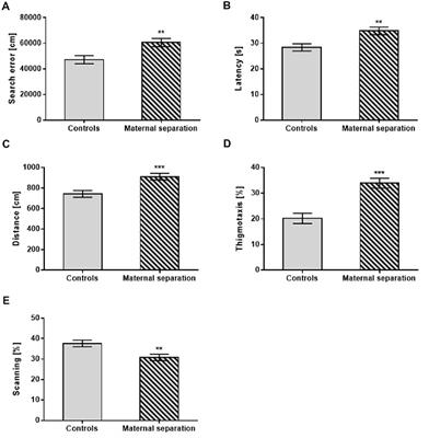 Early Postnatal Stress Impairs Cognitive Functions of Male Rats Persisting Until Adulthood